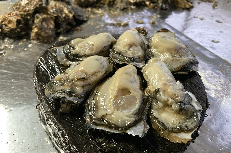 ��ǯ�٤ε��򳫻Ϥ��ޤ�����